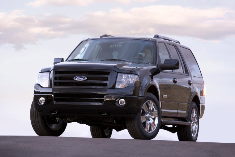 2010 Ford Expedition Picture