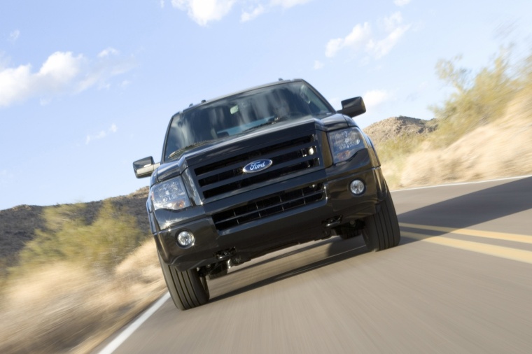 2010 Ford Expedition Picture