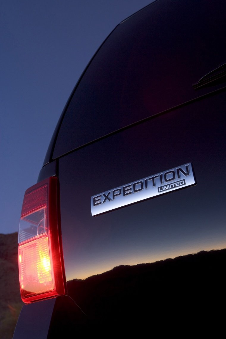 2014 Ford Expedition Tail Light Picture
