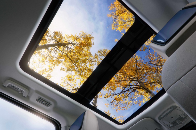 2019 Ford Expedition Moonroof Picture