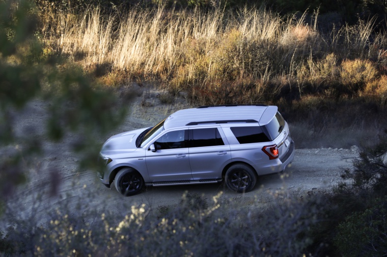 2019 Ford Expedition XLT FX4 Picture