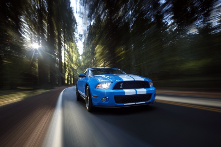 2010 Shelby GT500 Coupe Picture