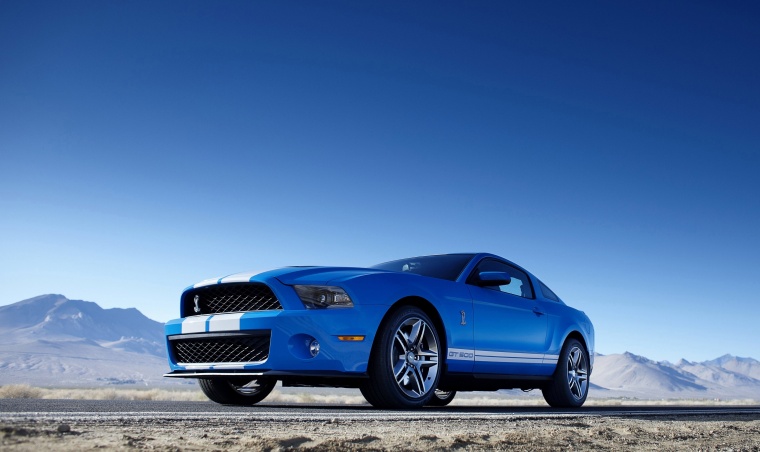 2010 Shelby GT500 Coupe Picture