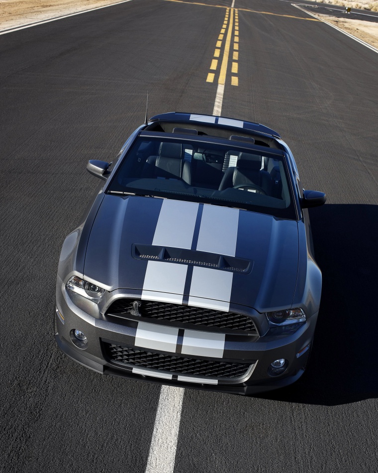 2010 Shelby GT500 Convertible Picture