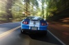 2010 Shelby GT500 Coupe Picture