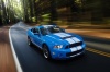 2010 Shelby GT500 Coupe Picture