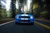 2010 Shelby GT500 Coupe Picture