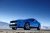 2010 Shelby GT500 Coupe Picture