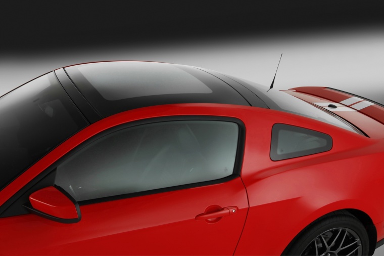 2011 Shelby GT500 Coupe Roof Picture