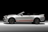 2011 Shelby GT500 Convertible Picture