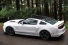 2013 Ford Mustang GT Coupe Picture