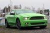 2013 Ford Mustang GT Coupe Picture