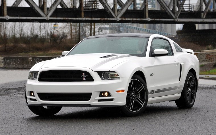 2014 Ford Mustang GT Coupe Picture