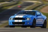 2014 Shelby GT500 Coupe Picture