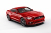 2015 Ford Mustang GT Fastback Picture