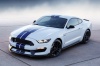 2017 Shelby GT350 Picture