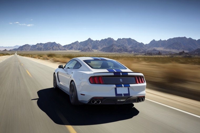 2018 Shelby GT350 Fastback Picture