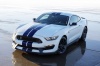 2018 Shelby GT350 Fastback Picture