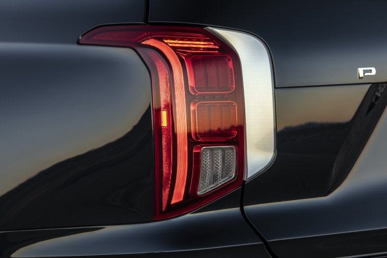 2020 Hyundai Palisade Tail Light Picture