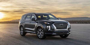Hyundai Palisade Reviews / Specs / Pictures / Prices