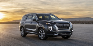 2020 Hyundai Palisade Pictures