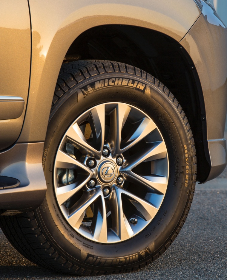 2018 Lexus GX460 Rim Picture