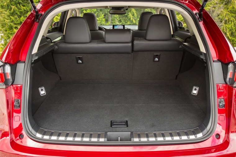 2016 Lexus NX300h Trunk Picture