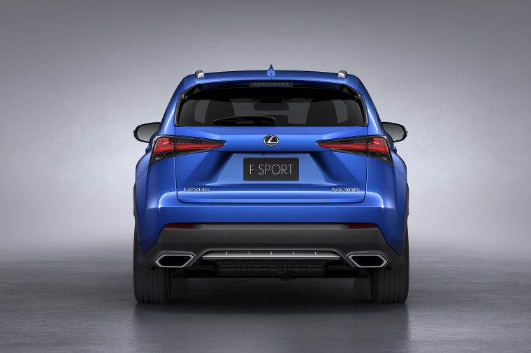 2018 Lexus NX300 F-Sport Picture