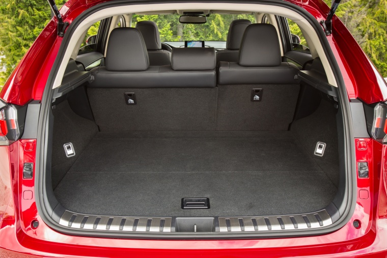 2018 Lexus NX300h Trunk Picture