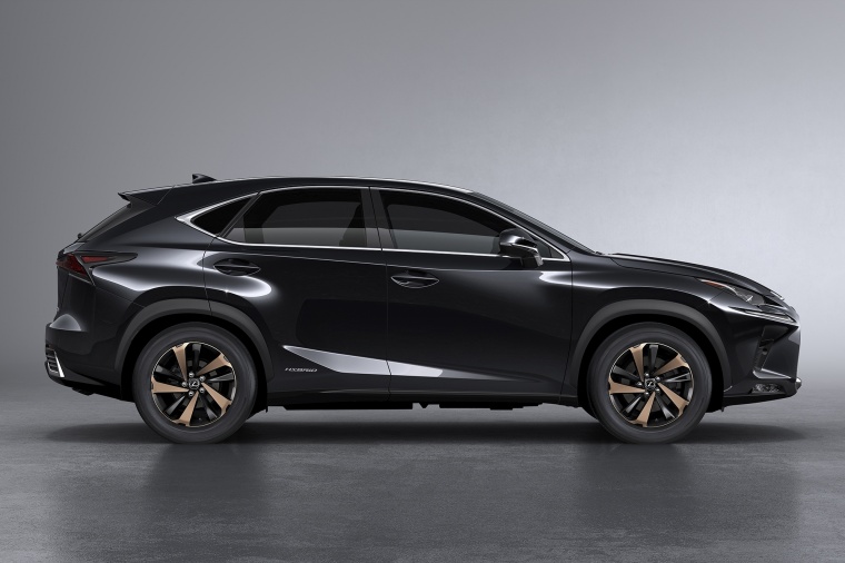 2018 Lexus NX300h Picture