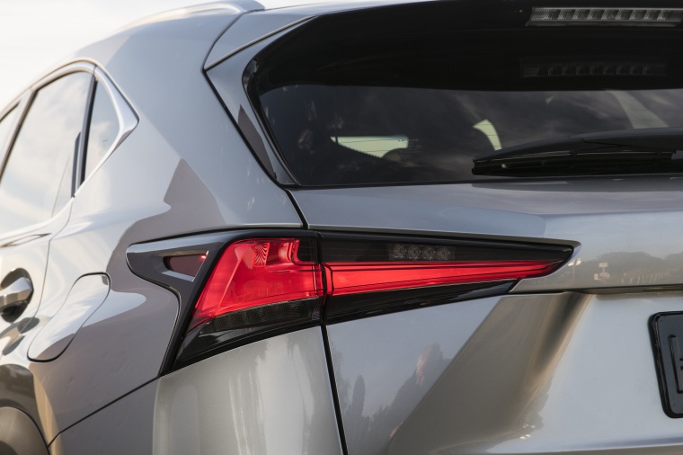 2019 Lexus NX300 Tail Light Picture