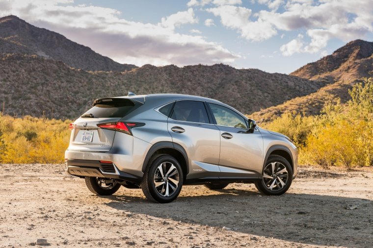 2019 Lexus NX300h Picture