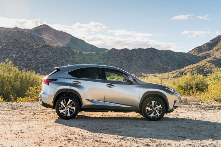 2019 Lexus NX300h Picture