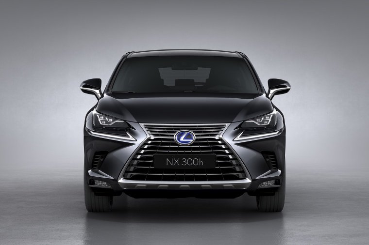 2019 Lexus NX300h Picture