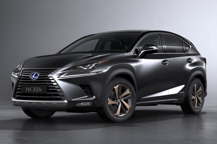2019 Lexus NX300h Picture