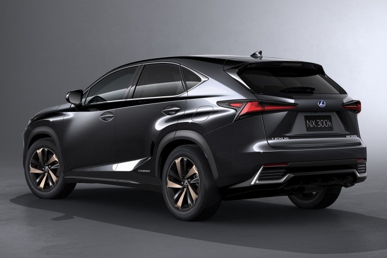 2019 Lexus NX300h Picture