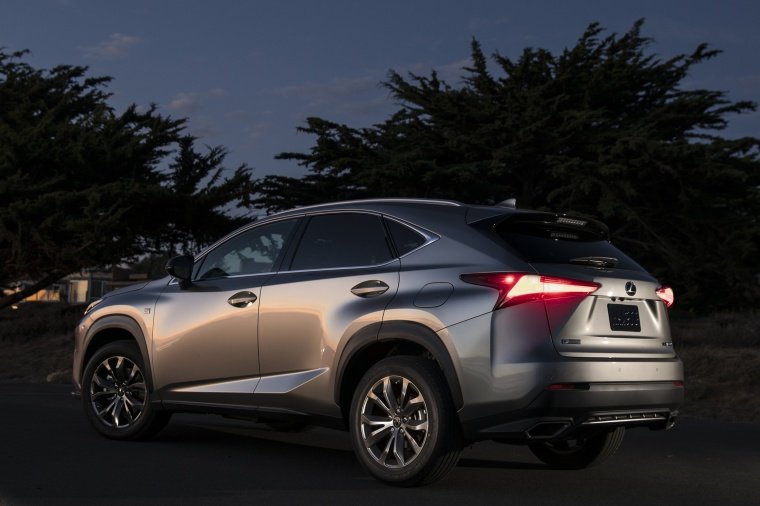 2019 Lexus NX300 Picture