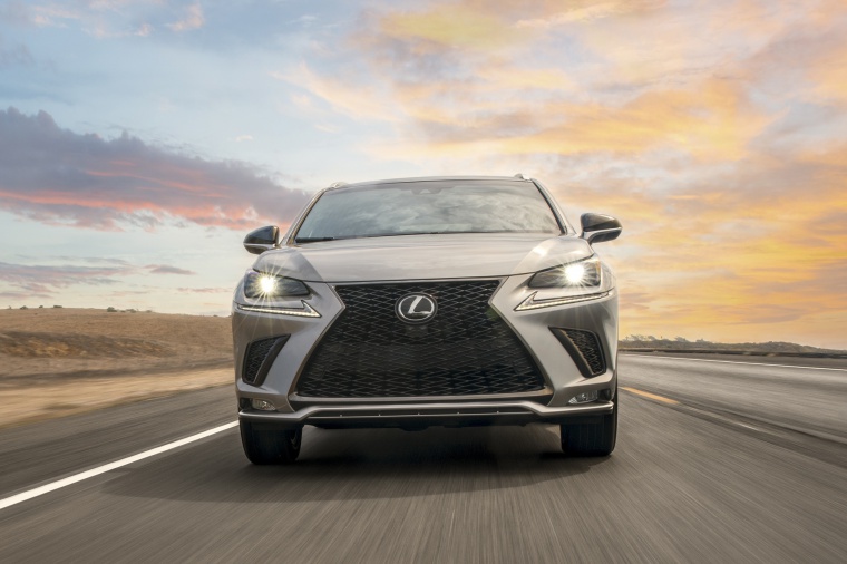 2019 Lexus NX300 Picture