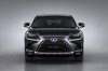 2019 Lexus NX300h Picture