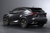 2019 Lexus NX300h Picture