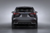 2019 Lexus NX300h Picture