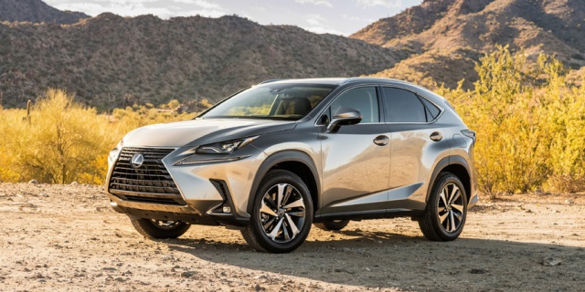 2019 Lexus NX Pictures