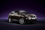 Picture of 2013 Lexus RX350 in Fire Agate Pearl