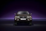 Picture of 2013 Lexus RX350 in Fire Agate Pearl