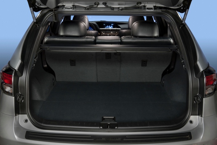 2014 Lexus RX350 F-Sport Trunk Picture