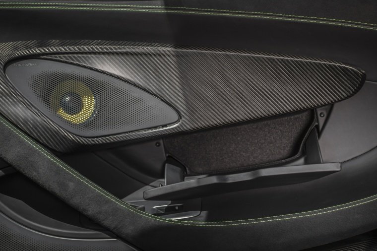 2016 McLaren 570S Coupe Door Panel Picture