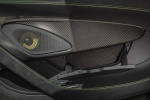 Picture of 2016 McLaren 570S Coupe Door Panel