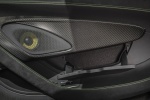 Picture of 2017 McLaren 570S Coupe Door Panel