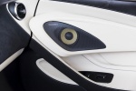 Picture of 2018 McLaren 570S Spider Door Panel