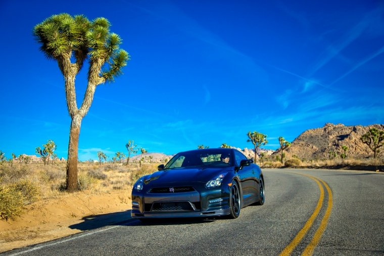 2014 Nissan GT-R Track Edition Picture